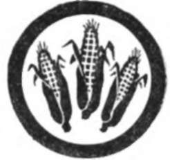 Corn Farming