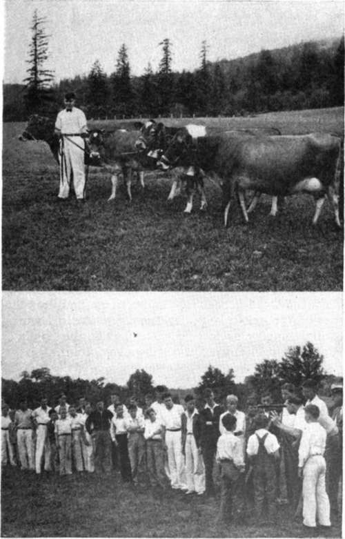 Country Boys Learn Dairying And Surveying