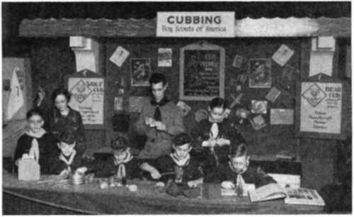 Cubs Demonstrate Their Skill Indiana