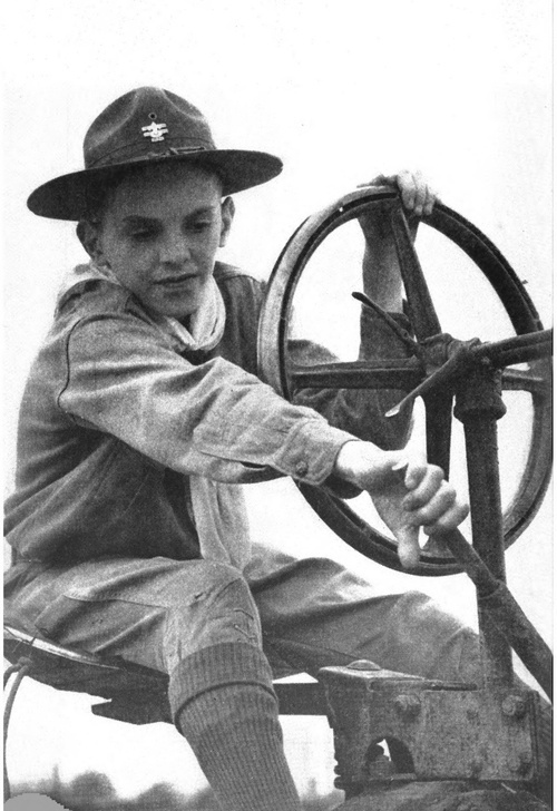 Cubs Driving Tractors