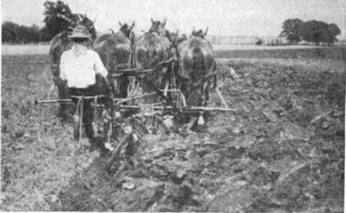 Deep Tilling Plow In West