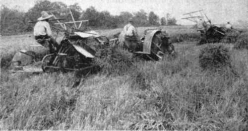 Harvesting Rice In Arkansas