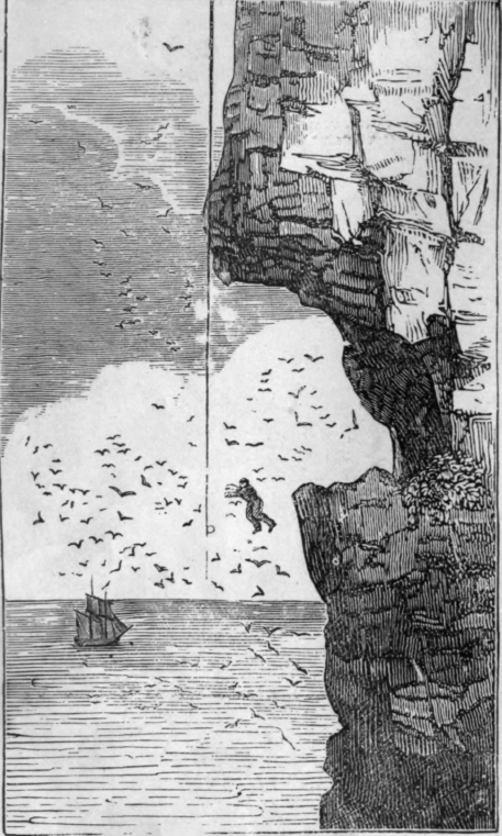 PERILOUS ADVENTURE OF A BIRD CATCHER