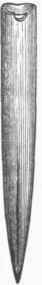 Belemnites unisuleatus.