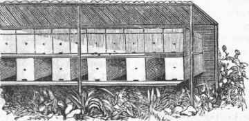 Dividing Hives.