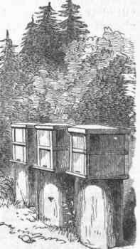 Hives on Two foot Pedestals.