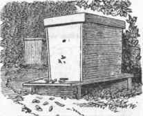 Tapering Hives.