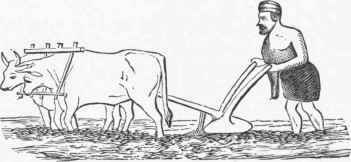 Plough 1300596