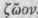 Polyzoa 1300640