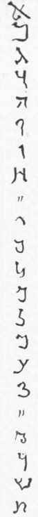 Semitic Race And Languages 1400333