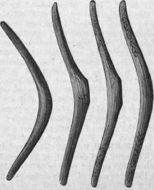 Boomerangs.