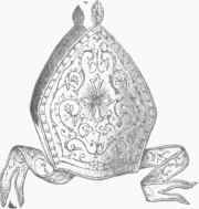 Bishop's Mitre.
