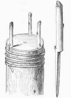 Crown Grafting. showing the completed operation and an enlarged view of the scion.