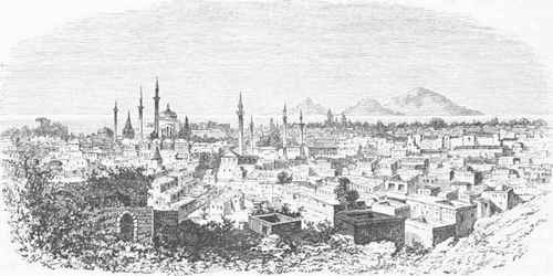 Konieh.