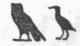 Language And Literature Of Egypt 0600236