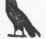 Language And Literature Of Egypt 0600383