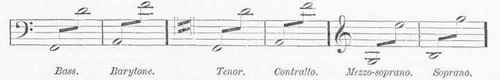 Misic 120033