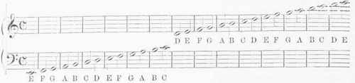 Misic 120067