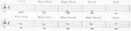 Misic 120073