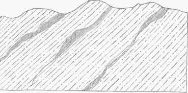 Segregated Veins of Auriferous Quartz in Gneiss.