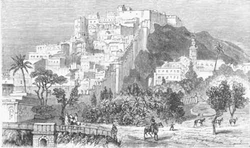 Algiers. from the Parade Ground.