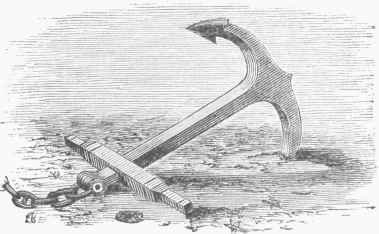 Fig. 1.   Common Anchor.