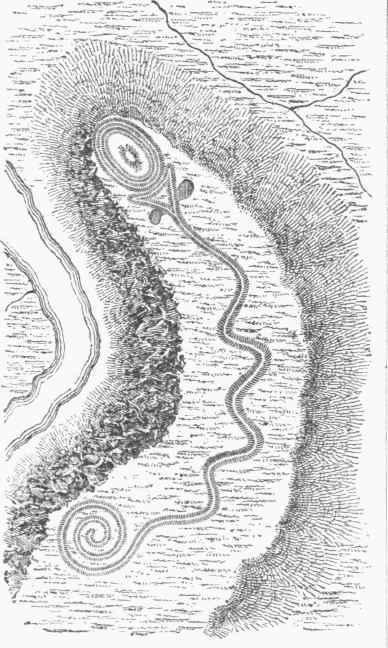 Serpent shaped Mound, Adams County, Ohio.