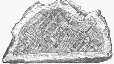 Widmannstaett's Figures.