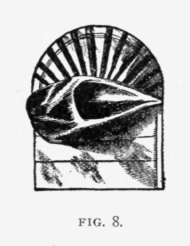 Fig. 8