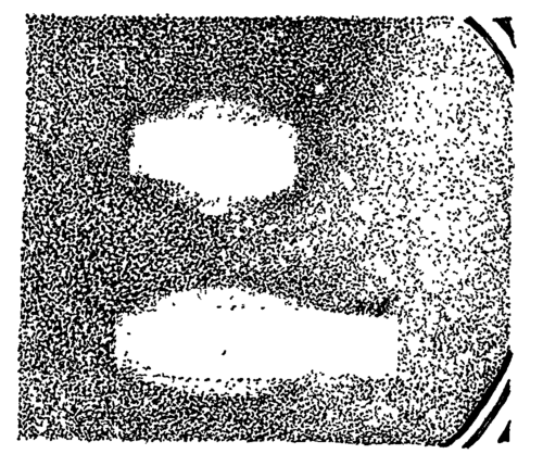 Fig. 18. Effect of light spectra on bacillus.