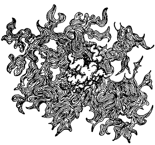 Fig. 21. Colony of Bacillus   Proteus.