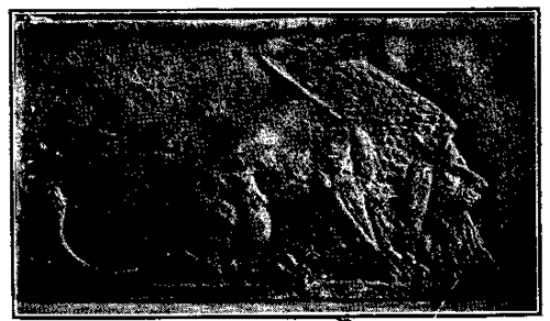 Figure of a dying Lion.