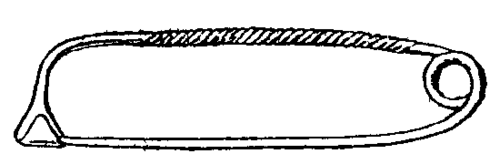 Fig. 1.  Early type from Peschiera.