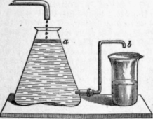 1465 To Obtain Essential Oils 25