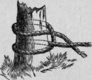 6264 The Double Half Hitch or Clove Hitch 88