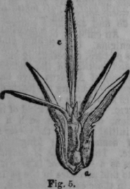 Bees 496