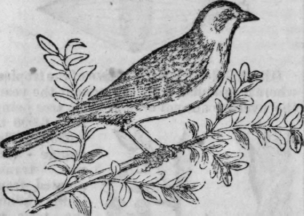 Canaries Their History And Management 165