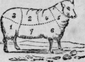 Names Of The Various Parts In Animals 103