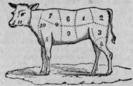 Names Of The Various Parts In Animals 105