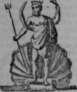 Neptune 317