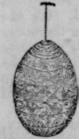 Ornamental Eggs 41