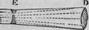 Telescope 96