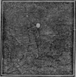 The Stereoscope Continued 607