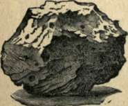 Agate 4