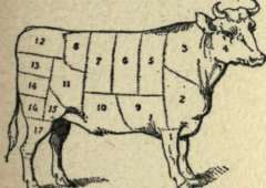 Beet 22