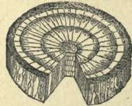 Eye 80