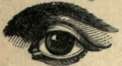 Eye 81