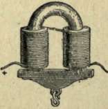 Magnolia 125