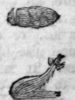 Insects 1