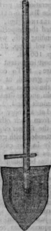 Spade 5